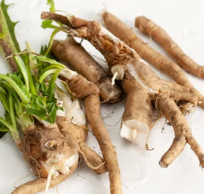 Sodium Bicarbonate — Ingredient 1